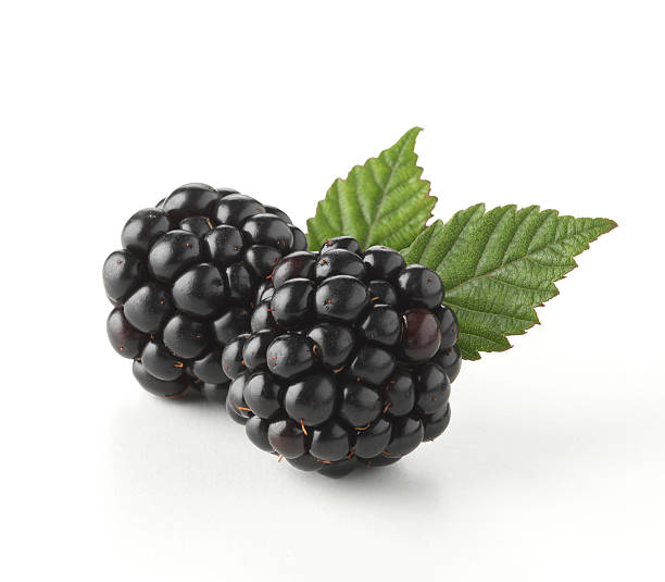 8oz Blackberry Habanero Jelly